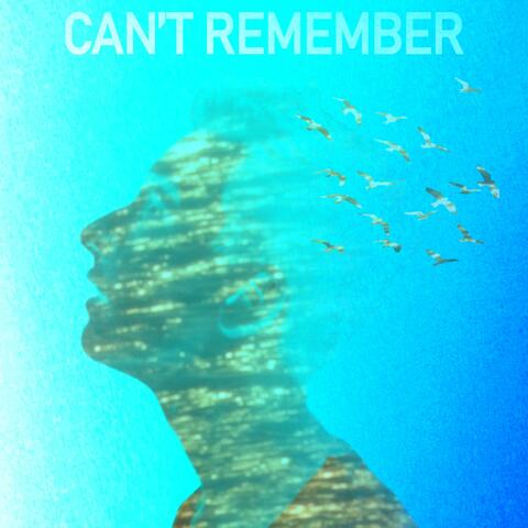 Can't Remember