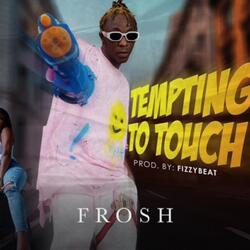 Tempt to touch (feat. Frosh)