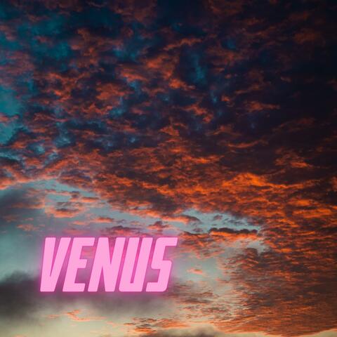 VENUS (feat. Wolts)
