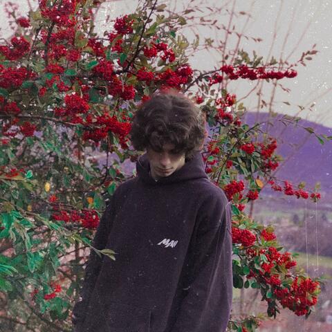 Certe Giornate (a rose grew from the concrete)