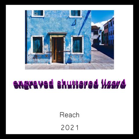 Engraved Shuttered Lizard