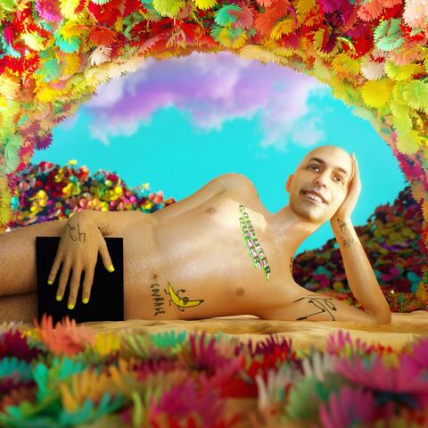 Computer Queer