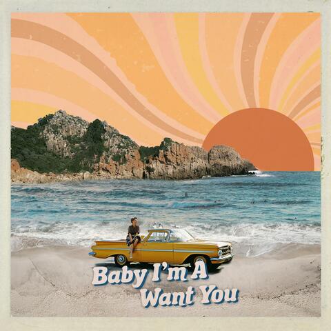 Baby I'm-a Want You