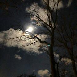 The Way I See It (feat. Antonio Sanchez, Matthew Garrison & Teodross Avery)