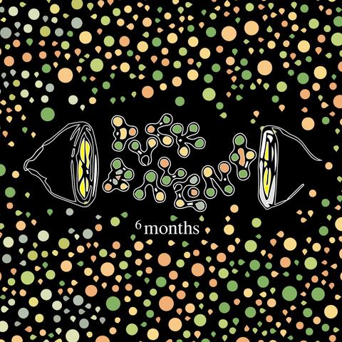 Six Months