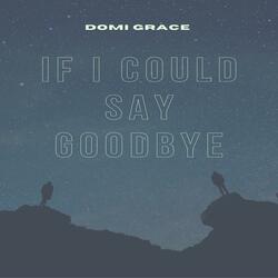 If I Could Say Goodbye