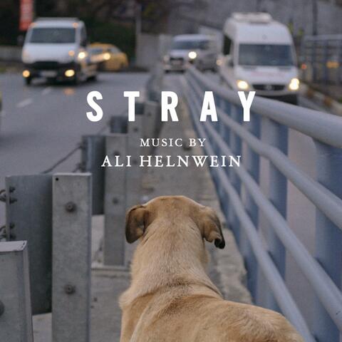 Stray (Original Motion Picture Soundtrack)