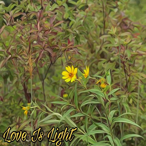 Love Is Light