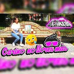 Cariño no llores mas