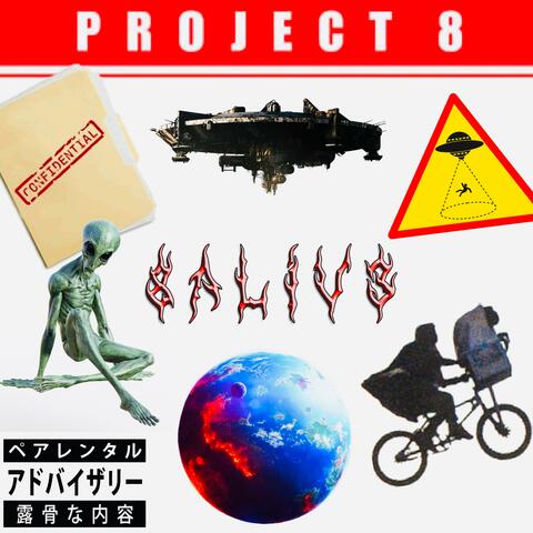 Project 8