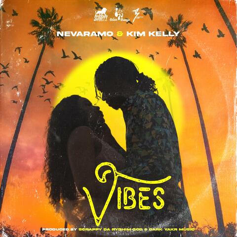 Vibes