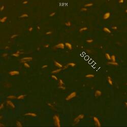 SOUL!