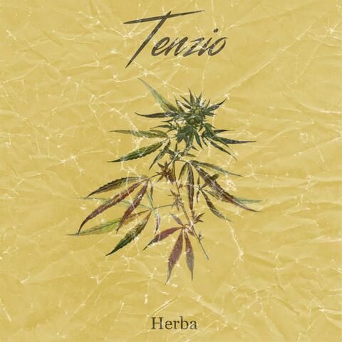 Herba