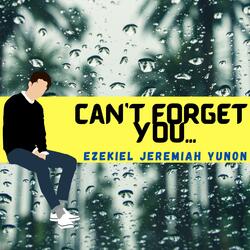 Can't Forget You