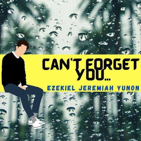 Can't Forget You