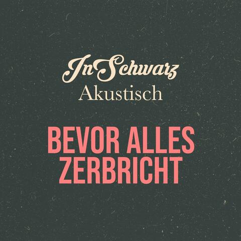Bevor alles zerbricht (Akustisch)