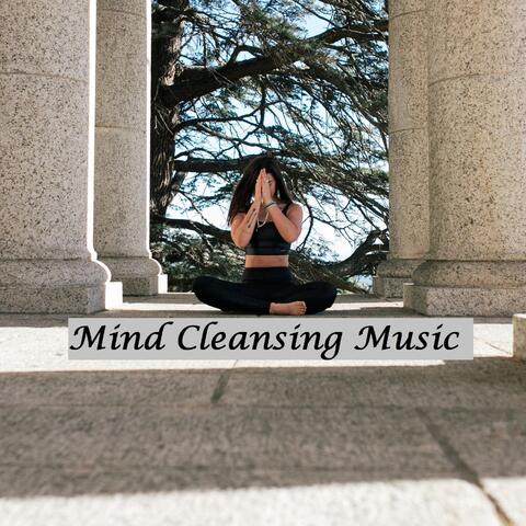Mind Cleansing