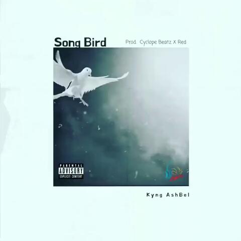Song Bird