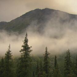 Mist Music