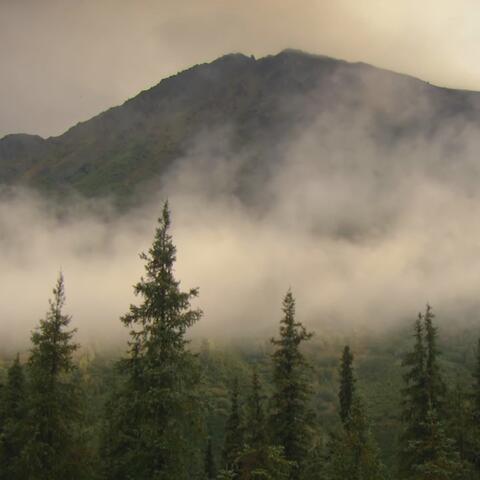 Mist Music