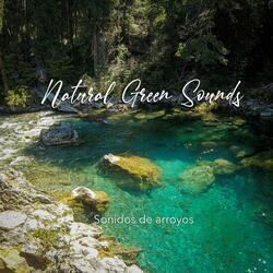 Sonido de arroyo natural con piedras