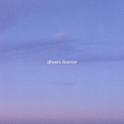 drivers license