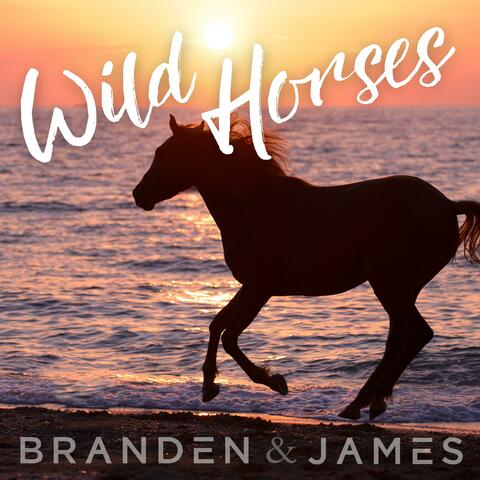 Wild Horses