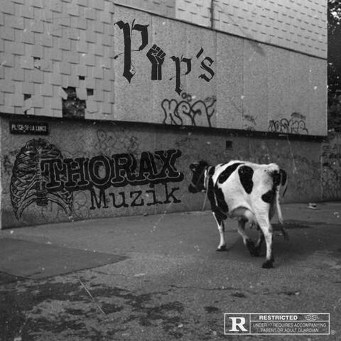 Thorax Muzik