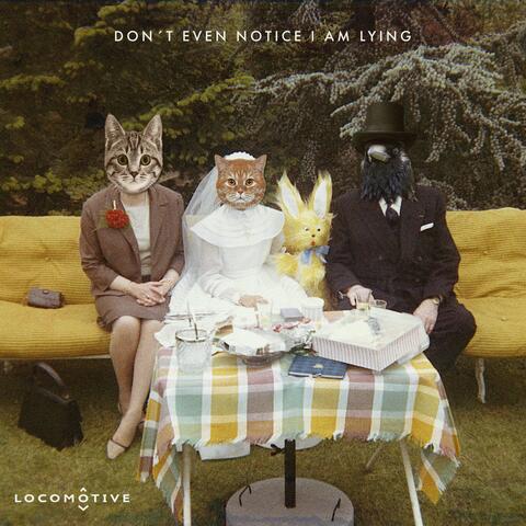 Don't Even Notice I am Lying
