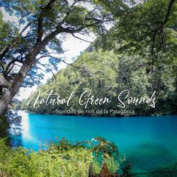 Sonido del agua del río y el bosque