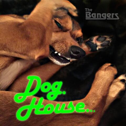 Doghouse