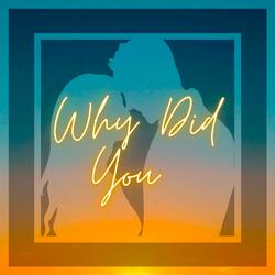 Why Did You