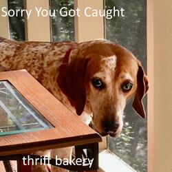 Sorry You Got Caught