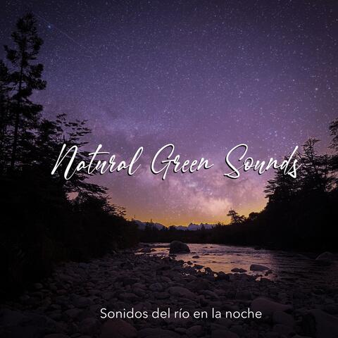 Sonidos del río en la noche