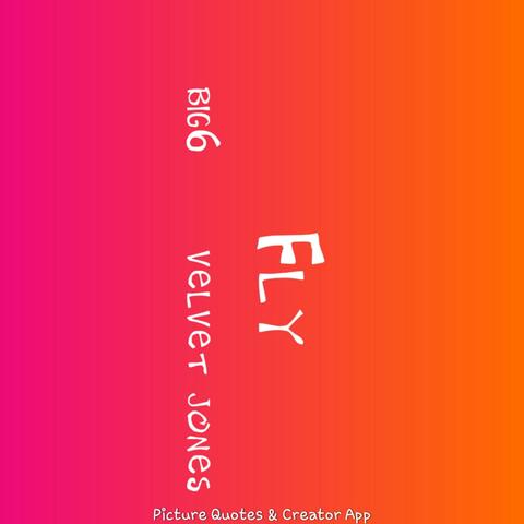 FLY (Big6)