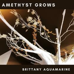 Amethyst Grows