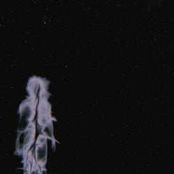 Dark Night Of The Soul