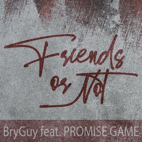 Friends or Not (feat. Promise Game)