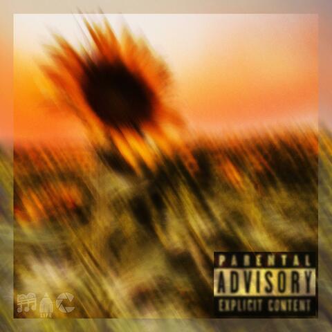 Sonshine (Remix)