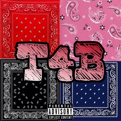 T4B