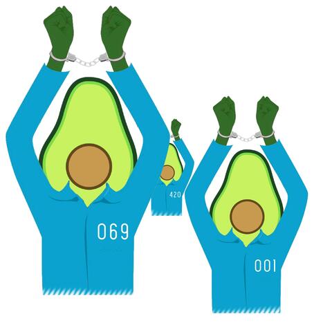 Avocadhoe