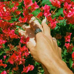 AE-1