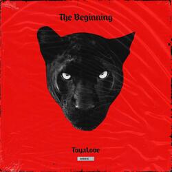 The Beginning