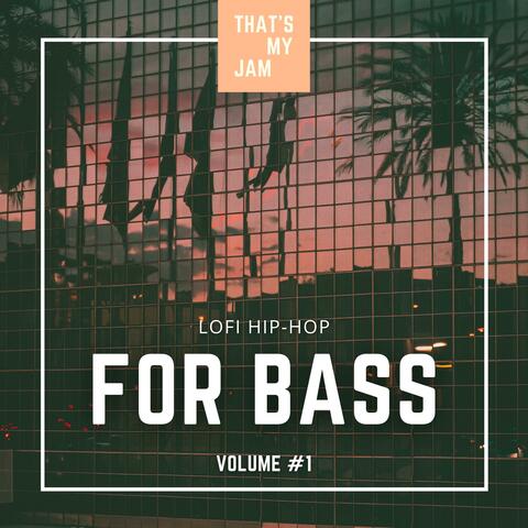 Lo-Fi Hip Hop Backing Tracks For Bass // Volume #1