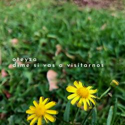 Dime Si Vas A Visitarnos