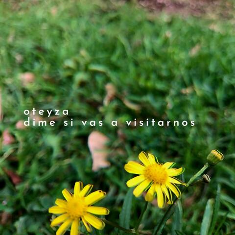 Dime Si Vas A Visitarnos