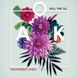 A-O-K (feat. JVZEL)