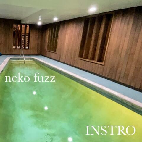 INSTRO