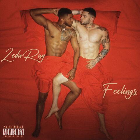 Feelings