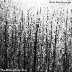 Interlude II (So Many Voices)